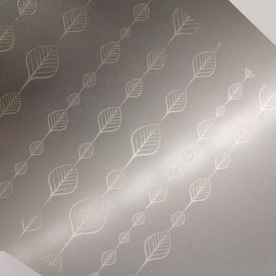 Fiberlasergravurmaschine für intelligente Badezimmerspiegel-Oberfläche - Freie Elektronenlaser